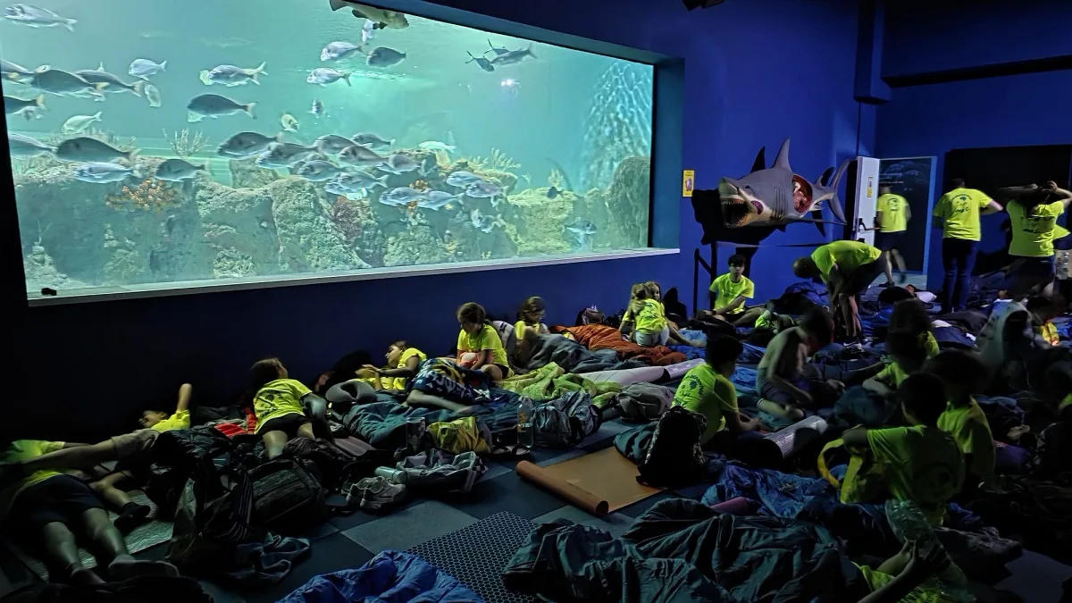 Medio centenar de jóvenes duerme entre tiburones en el Acuario de Almuñécar - Vida y Cultura - 90 Costa