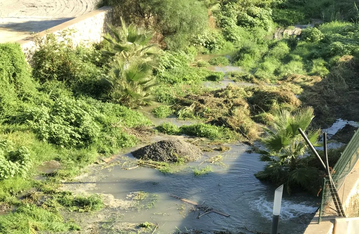 El PSOE exige a Ruiz Joya y a la Diputación que cesen los vertidos de agua en Río Verde - Actualidad - 90 Costa
