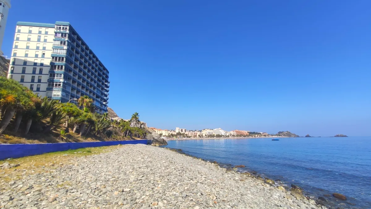 Almuñécar acuerda impulsar la mejora o reubicación de la playa canina mediante una mesa de trabajo - Actualidad - 90 Costa