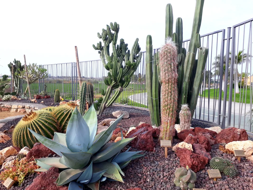 El Jardín de Cactus y Suculentas "Teresa" abre sus puertas los fines de semana - 90 Costa