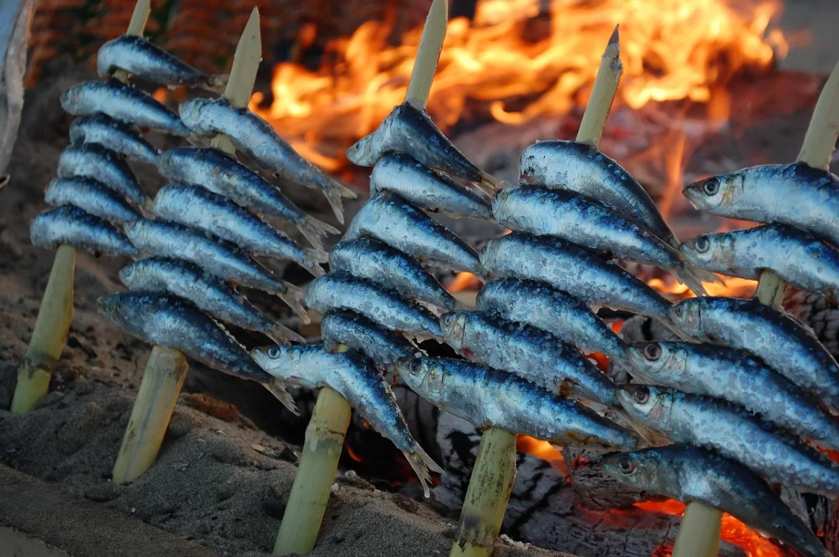 Los espetos de sardinas de la Costa Tropical, el arte del fuego y la tradición marinera - Vivir en la Costa Tropical - 90 Costa