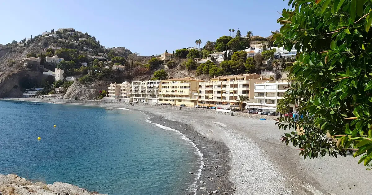 Almuñécar moviliza a la ciudadanía tras el intento de anidación de una tortuga boba en la playa de Cotobro - Actualidad - 90 Costa