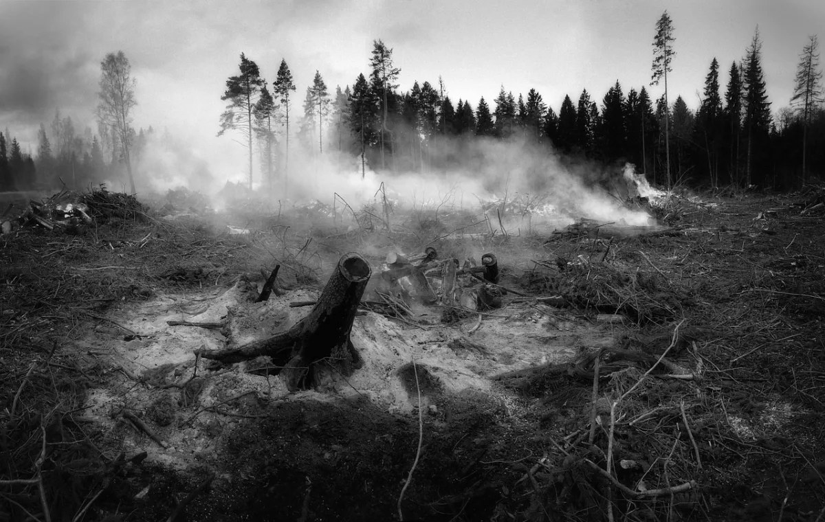 La Junta intensifica su campaña de prevención contra los incendios forestales ante la gravedad estival - Actualidad - 90 Costa
