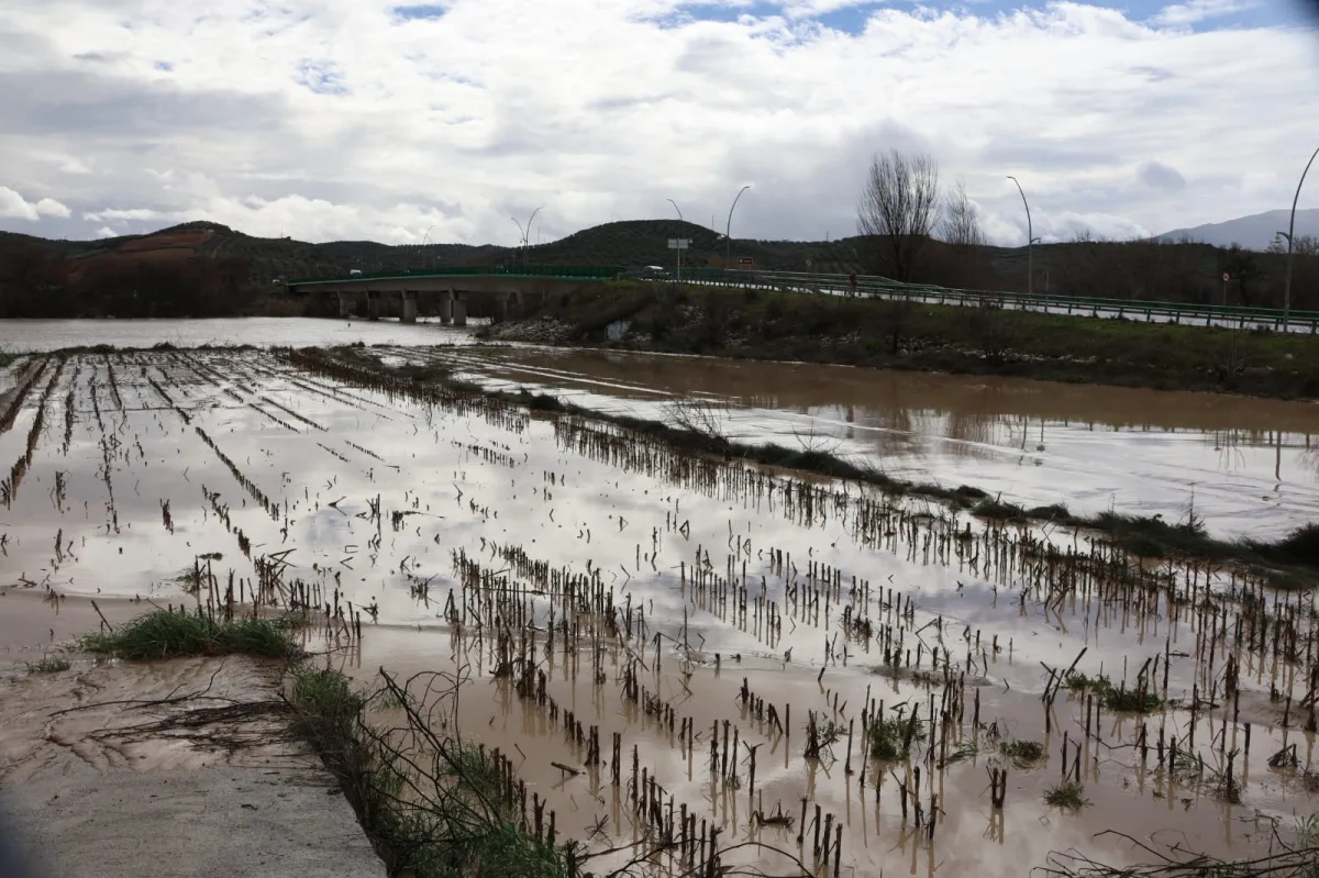 La Subdelegación culmina la tramitación de más de 281 millones en ayudas para 126 entidades locales de Granada por las borrascas - Actualidad - 90 Costa